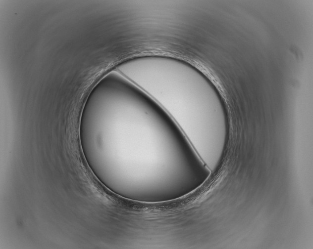 X0000111370481200907101020