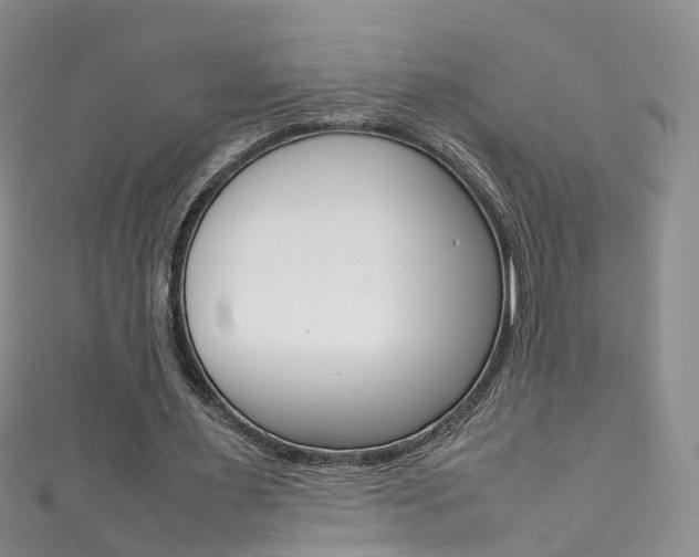 X0000111370483200907101020