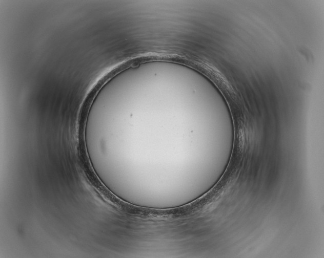 X0000111370484200907101020