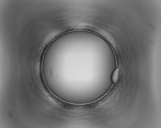 X0000111370485200907101020