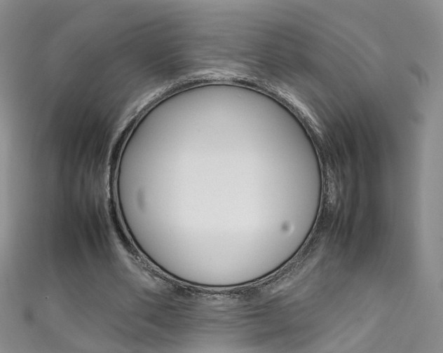 X0000111370486200907101020