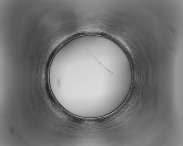 X0000111370487200907101020