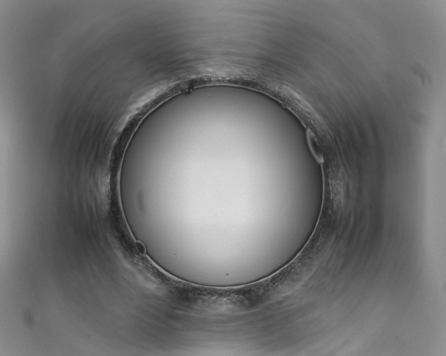 X0000111370488200907101020