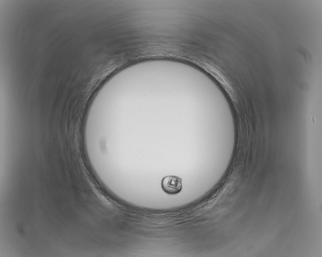 X0000111370489200907101020