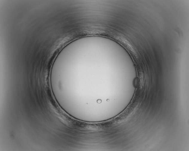 X0000111370490200907101020