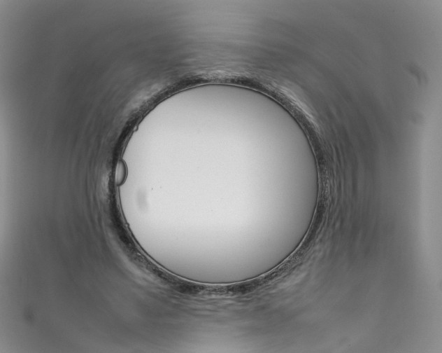 X0000111370491200907101020