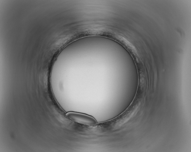 X0000111370493200907101020