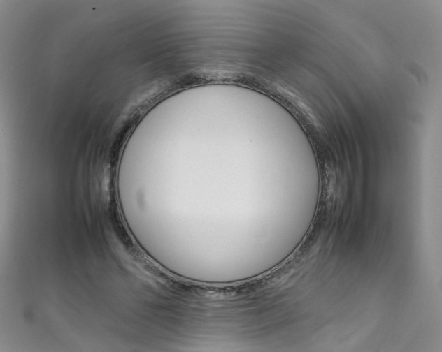 X0000111370494200907101020