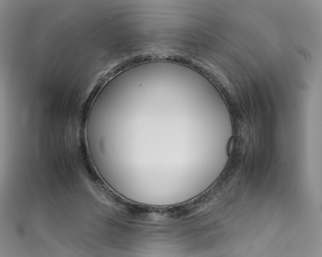 X0000111370496200907101020