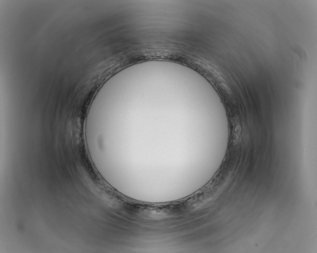 X0000111370498200907101020