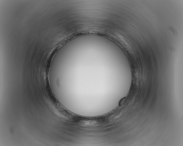 X0000111370500200907101020
