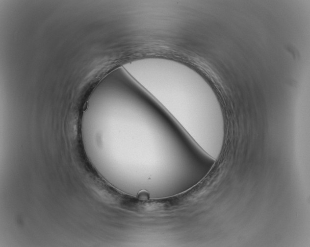 X0000111370501200907101020