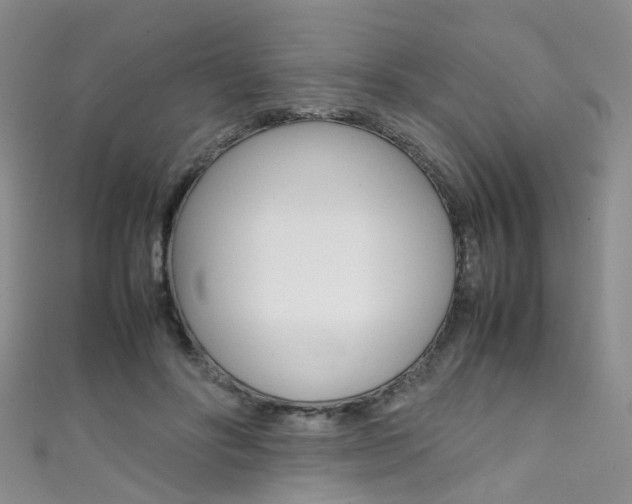 X0000111370502200907101020