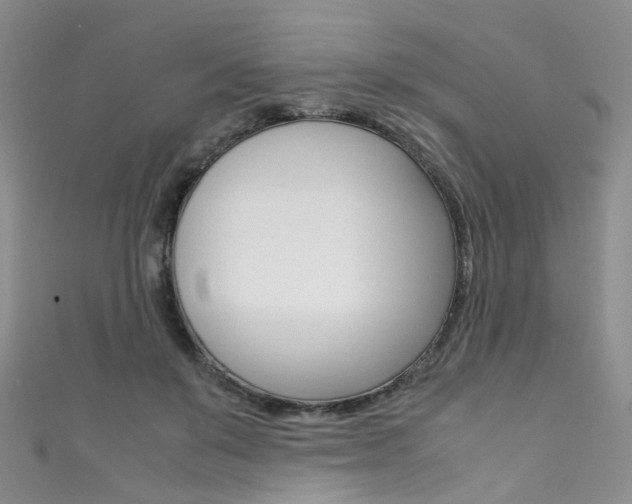 X0000111370503200907101020