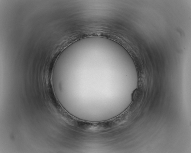 X0000111370504200907101020