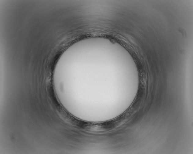 X0000111370507200907101020