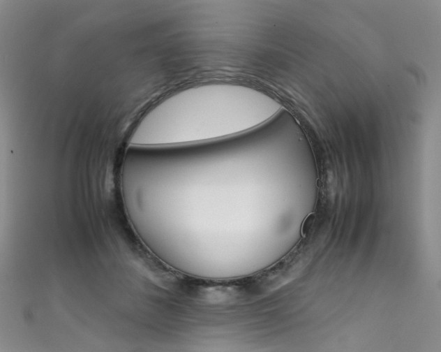 X0000111370508200907101020