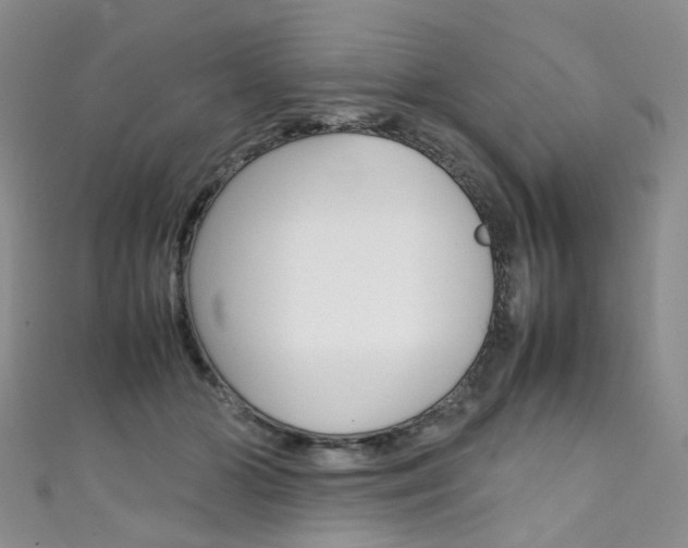 X0000111370510200907101020