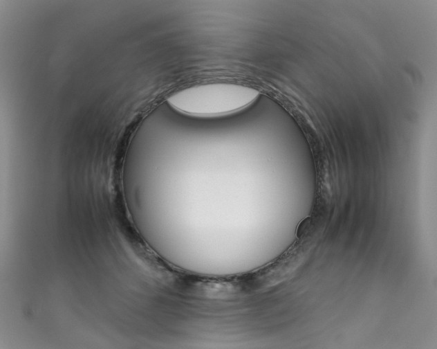 X0000111370512200907101020