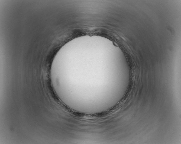 X0000111370515200907101020