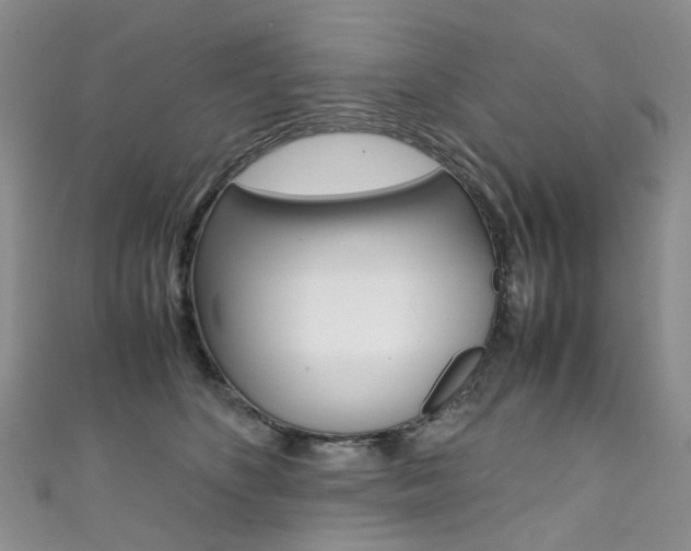X0000111370516200907101019