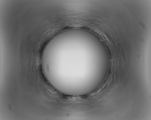 X0000111370517200907101019