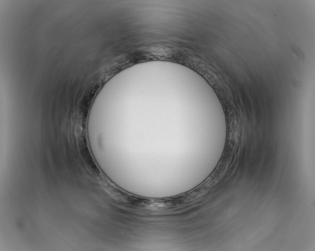 X0000111370518200907101019