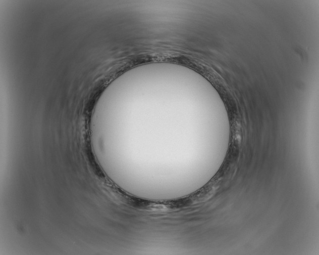 X0000111370519200907101019