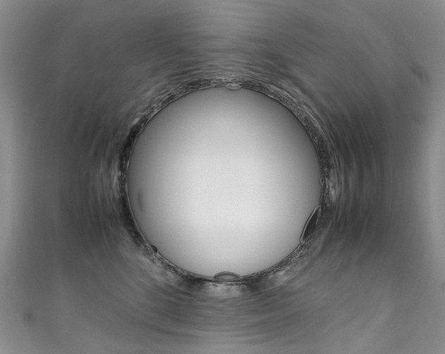 X0000111370520200907101019