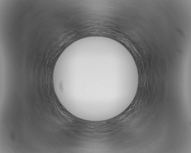X0000111370521200907101019