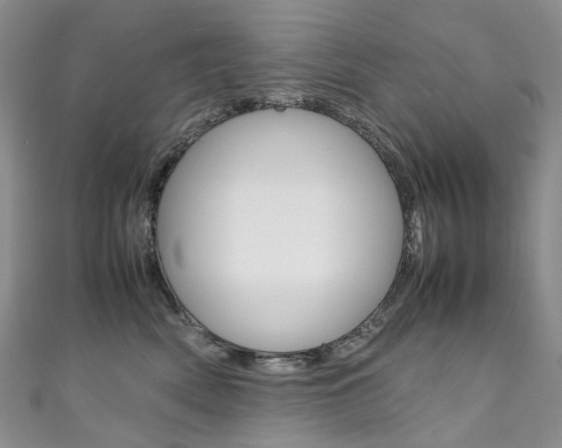 X0000111370522200907101019