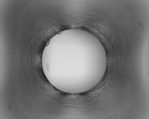 X0000111370523200907101019