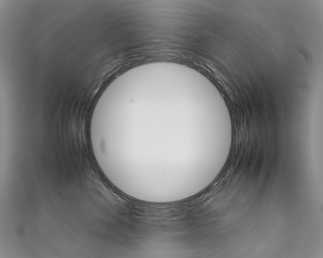 X0000111370524200907101019