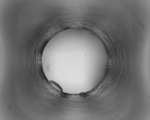 X0000111370525200907101019