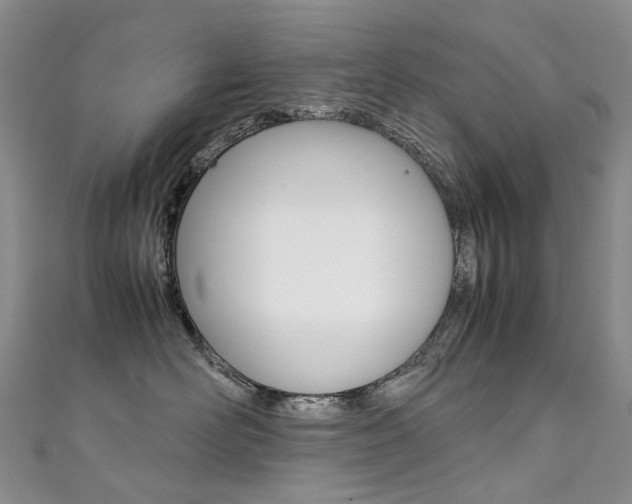 X0000111370526200907101019