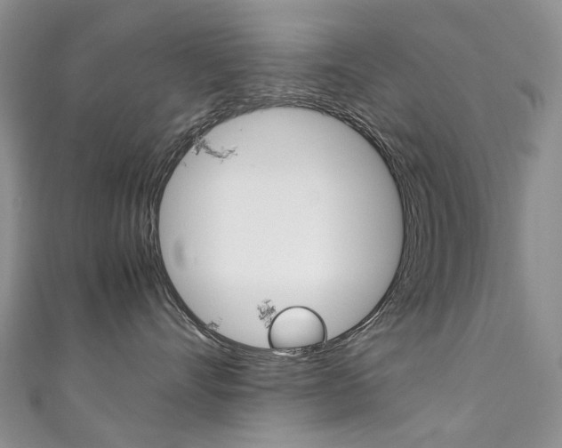 X0000111370528200907101019