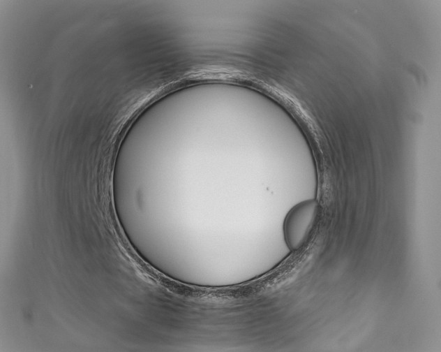X0000111370529200907101019