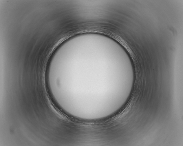 X0000111370530200907101019