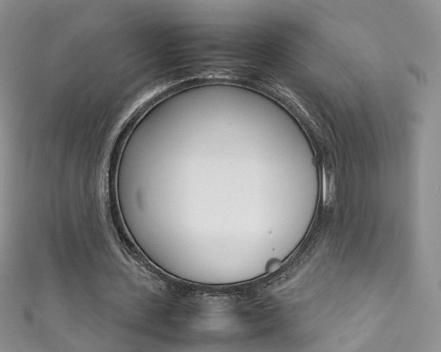 X0000111370531200907101019