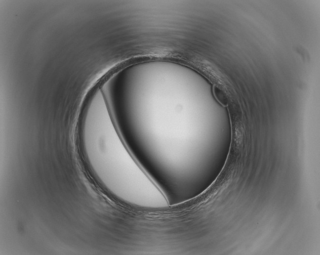 X0000111370532200907101019