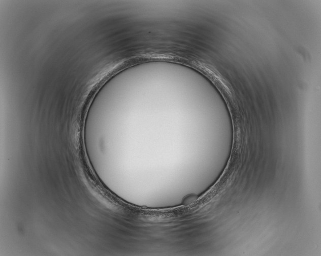 X0000111370533200907101019