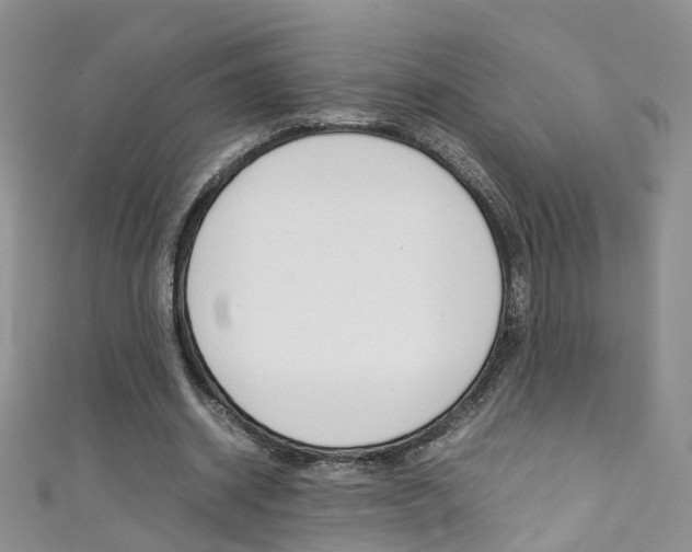 X0000111370534200907101019