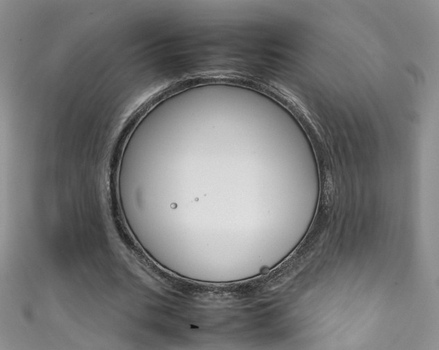 X0000111370535200907101019