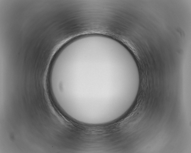 X0000111370536200907101019