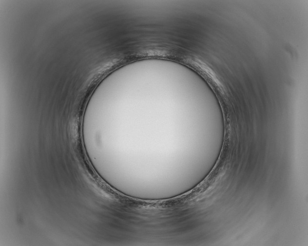 X0000111370537200907101019