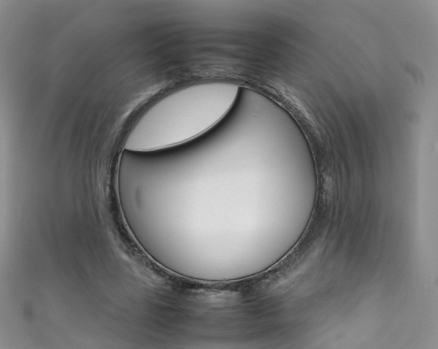 X0000111370539200907101019
