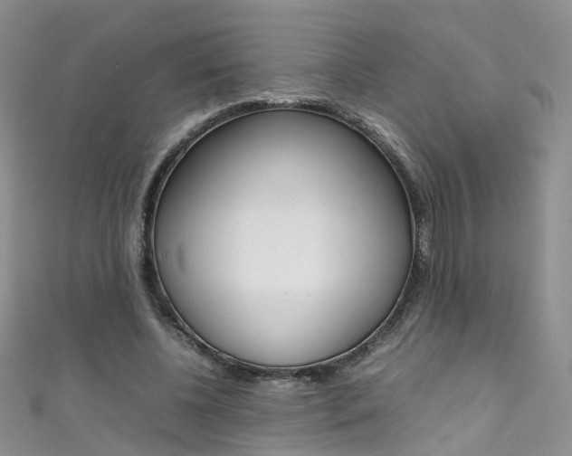X0000111370540200907101019