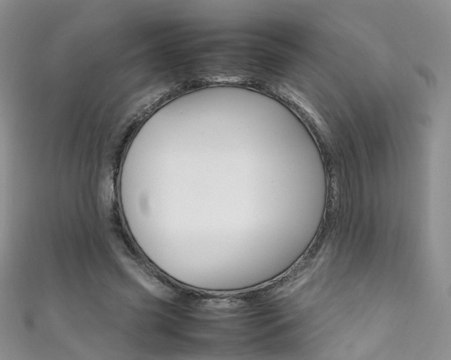 X0000111370541200907101019