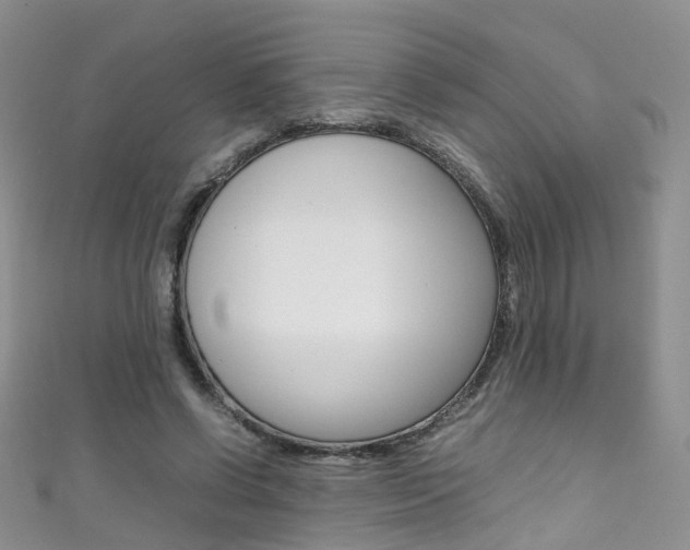 X0000111370542200907101019