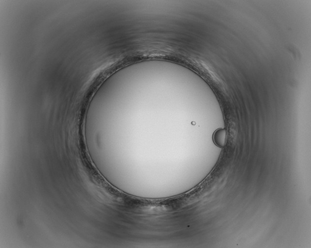 X0000111370543200907101019